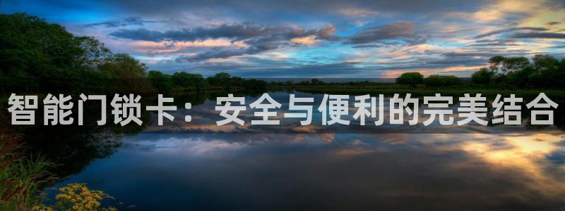 金年会彩票下载app：智能门锁卡：安全与便利的完美结合