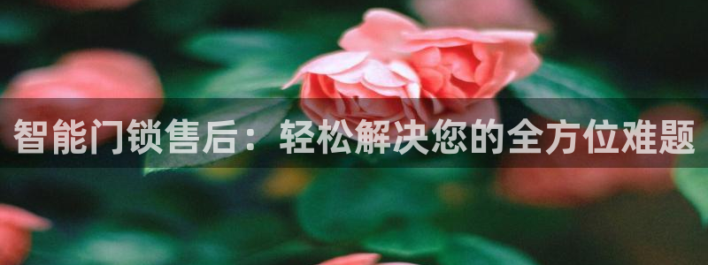 金年会嗨聊app下载：智能门锁售后：轻松解决您的全方位难题