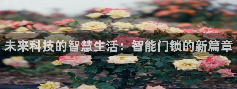 金年会娱乐下载：未来科技的智慧生活：智能门锁的新篇章