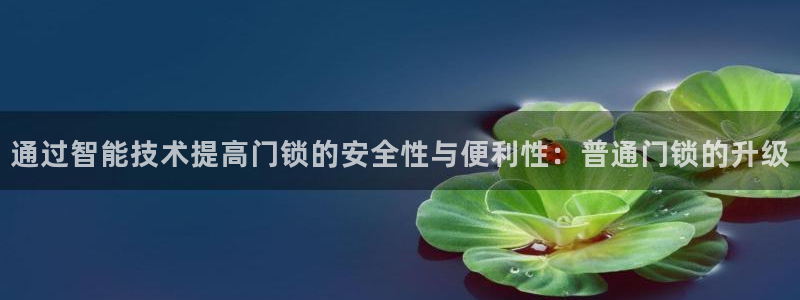 金年会6766澳门联合：通过智能技术提高门锁的安全性与便利性