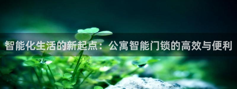 金年会娱乐和马竞：智能化生活的新起点：公寓智能门锁的高效与便