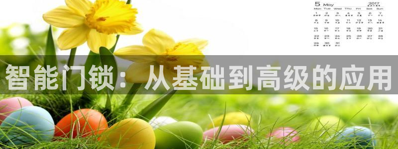 今年会金年会：智能门锁：从基础到高级的应用