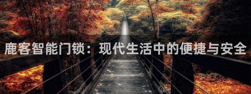 金年会体育app下载