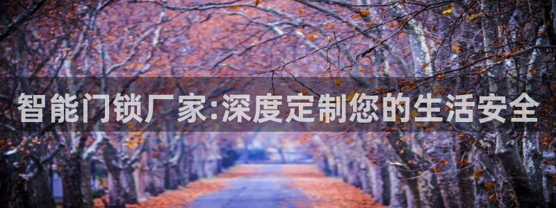 金年会活动策划：智能门锁厂家:深度定制您的生活安全