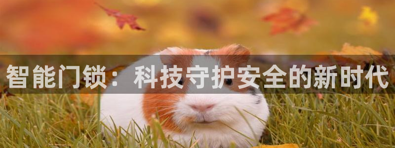 jinnianhui 金年会：智能门锁：科技守护安全的新时代