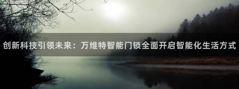 金年会体育app官网：创新科技引领未来：万维特智能门锁全面开