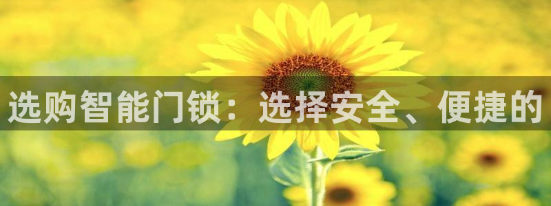 jinnianhui 金年会：选购智能门锁：选择安全、便捷的