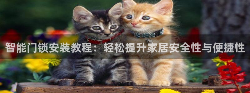 金年会活动策划：智能门锁安装教程：轻松提升家居安全性与便捷性