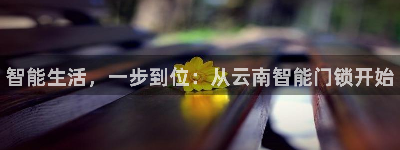 金年会官网：智能生活，一步到位：从云南智能门锁开始