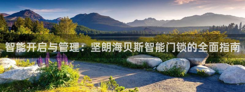 金年会体育下载：智能开启与管理：坚朗海贝斯智能门锁的全面指南